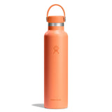 Nectar Orange